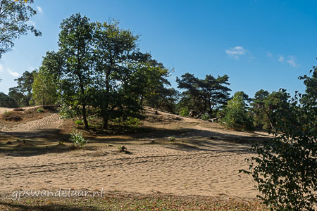 20250914-DSC_7695.jpg