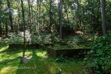 20250914-DSC_7725.jpg