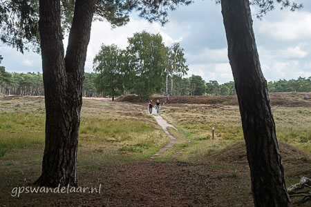 20250914-DSC_7920.jpg