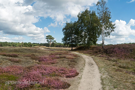 20250914-DSC_7938.jpg