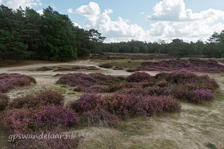 20250914-DSC_7995.jpg