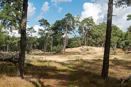 20250914-DSC_8007.jpg