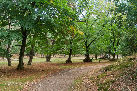 20250914-DSC_8036.jpg