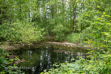 20260517-DSC05265.jpg