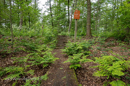 20260517-DSC05369.jpg