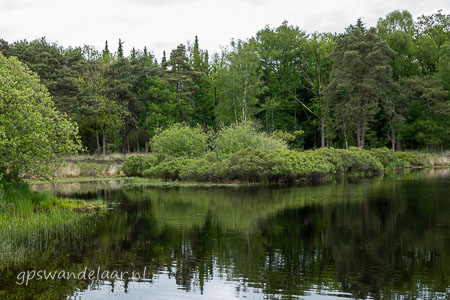 20260517-DSC05476.jpg