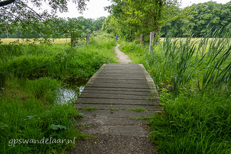 20260531-DSC05654.jpg