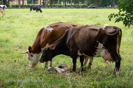 20260702-DSC06456.jpg