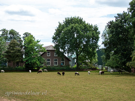 20260703-DSCN2018.jpg