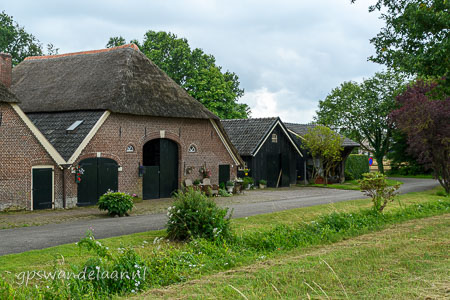 20260705-DSC_3366.jpg