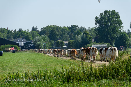 20260709-DSC_4161.jpg