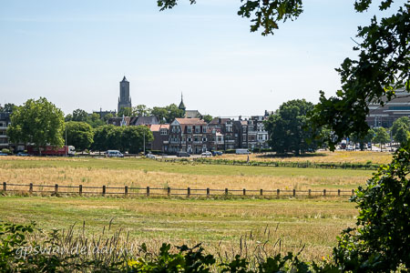 20260710-DSC06845.jpg