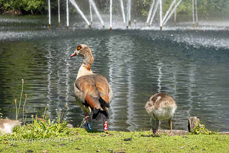 20260710-DSC07044.jpg