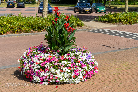20260719-DSC_4197.jpg