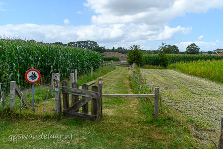 20260719-DSC_4249.jpg