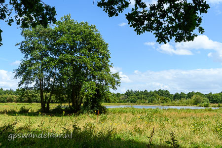 20260719-DSC_4454.jpg