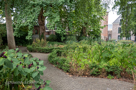 20260816-DSC08017.jpg