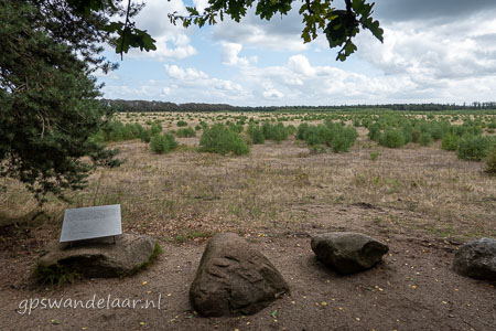 20260822-DSC08111.jpg