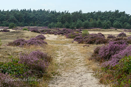 20260827-DSC_4566.jpg