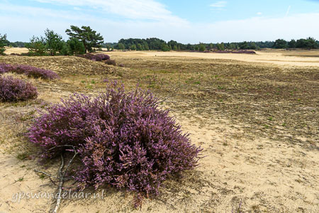 20260827-DSC_4571.jpg