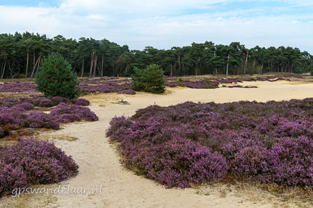 20260827-DSC_4598.jpg