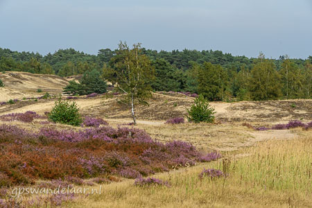 20260827-DSC_4647.jpg