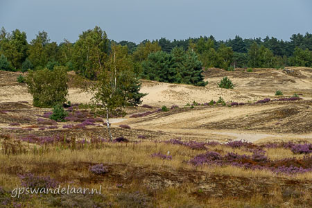 20260827-DSC_4657.jpg