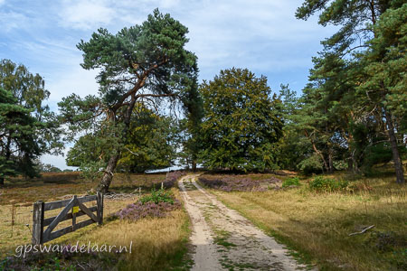 20260827-DSC_4667.jpg
