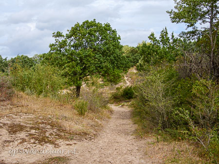 20260829-DSCN2833.jpg