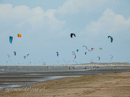 20260829-DSCN2852.jpg