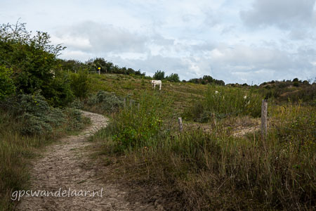 20260903-DSC09920.jpg